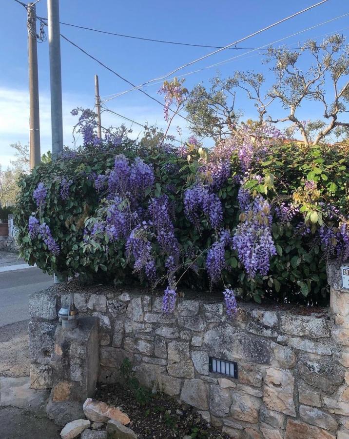Trulli Nonna Graziella Villa Locorotondo Dış mekan fotoğraf
